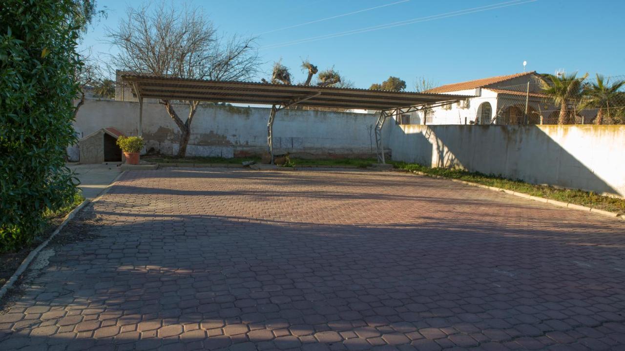 Estudio Adosado Con Jardin Y Parking Privado Alicante Exterior foto