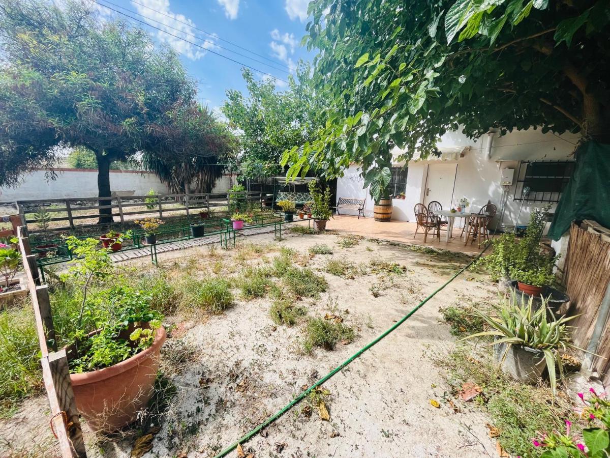 Estudio Adosado Con Jardin Y Parking Privado Alicante Exterior foto